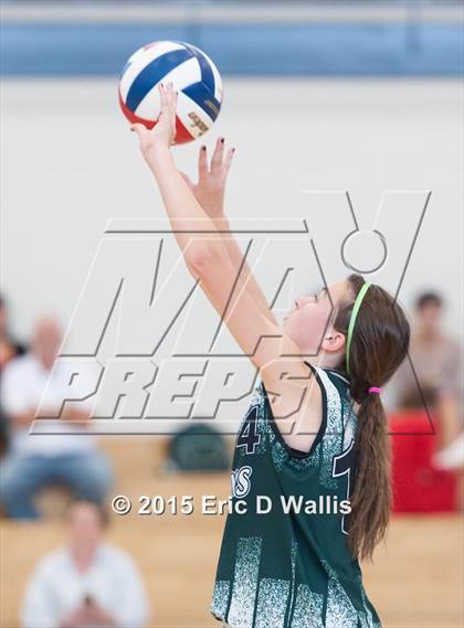 Thumbnail 1 in Minnechaug @ West Springfield photogallery.