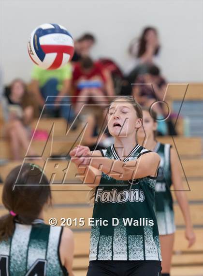 Thumbnail 2 in Minnechaug @ West Springfield photogallery.