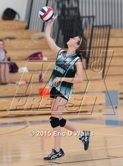 Thumbnail 1 in Minnechaug @ West Springfield photogallery.