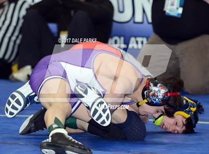 Thumbnail 2 in NYSPHSAA Wrestling Championships (Division 2 Semifinals) photogallery.