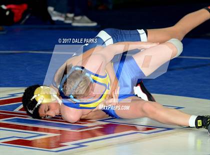 Thumbnail 3 in NYSPHSAA Wrestling Championships (Division 2 Semifinals) photogallery.