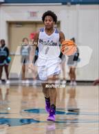 Photo from the gallery "Elk Grove @ Sheldon"