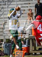 Photo from the gallery "Pine Forest @ Seventy-First"