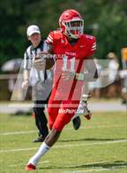 Photo from the gallery "Pine Forest @ Seventy-First"