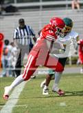 Photo from the gallery "Pine Forest @ Seventy-First"