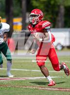 Photo from the gallery "Pine Forest @ Seventy-First"