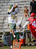 Photo from the gallery "Pine Forest @ Seventy-First"