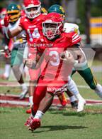 Photo from the gallery "Pine Forest @ Seventy-First"