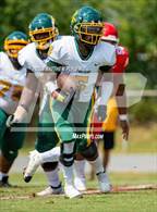 Photo from the gallery "Pine Forest @ Seventy-First"