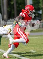 Photo from the gallery "Pine Forest @ Seventy-First"