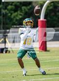 Photo from the gallery "Pine Forest @ Seventy-First"