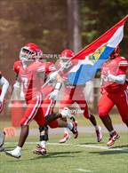 Photo from the gallery "Pine Forest @ Seventy-First"