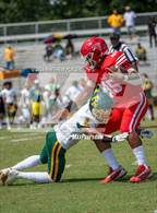 Photo from the gallery "Pine Forest @ Seventy-First"