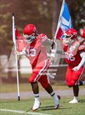 Photo from the gallery "Pine Forest @ Seventy-First"