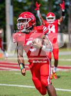 Photo from the gallery "Pine Forest @ Seventy-First"