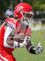 Photo from the gallery "Pine Forest @ Seventy-First"