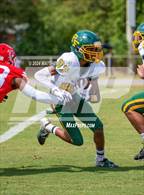 Photo from the gallery "Pine Forest @ Seventy-First"