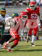 Photo from the gallery "Pine Forest @ Seventy-First"