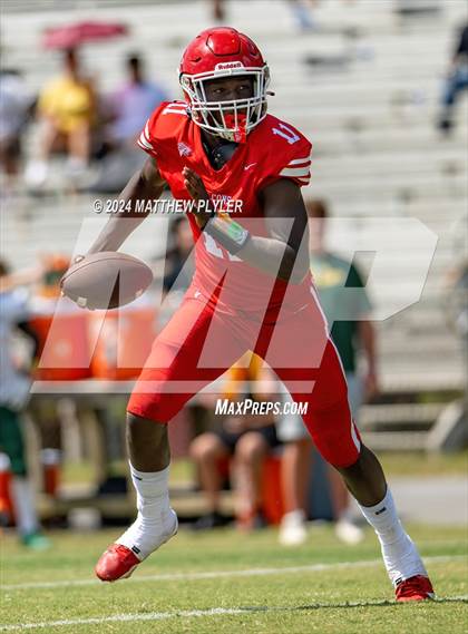 Thumbnail 3 in Pine Forest @ Seventy-First photogallery.
