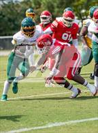 Photo from the gallery "Pine Forest @ Seventy-First"