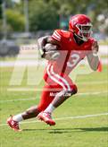 Photo from the gallery "Pine Forest @ Seventy-First"