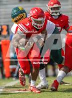 Photo from the gallery "Pine Forest @ Seventy-First"