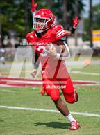Photo from the gallery "Pine Forest @ Seventy-First"