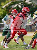 Photo from the gallery "Pine Forest @ Seventy-First"