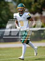 Photo from the gallery "Pine Forest @ Seventy-First"