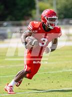 Photo from the gallery "Pine Forest @ Seventy-First"
