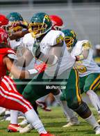 Photo from the gallery "Pine Forest @ Seventy-First"