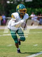 Photo from the gallery "Pine Forest @ Seventy-First"