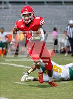 Photo from the gallery "Pine Forest @ Seventy-First"