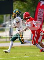 Photo from the gallery "Pine Forest @ Seventy-First"