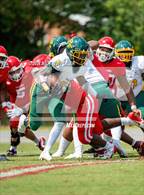 Photo from the gallery "Pine Forest @ Seventy-First"