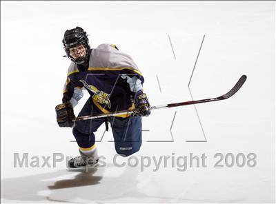 Thumbnail 3 in Webster-Thomas vs Thousand Islands (NYSPHSAA D2 Final) photogallery.