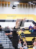 Photo from the gallery "Foothill @ Granada"
