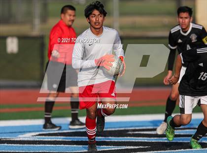 Thumbnail 2 in Bonita @ Azusa photogallery.