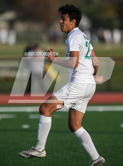 Thumbnail 1 in Bonita @ Azusa photogallery.