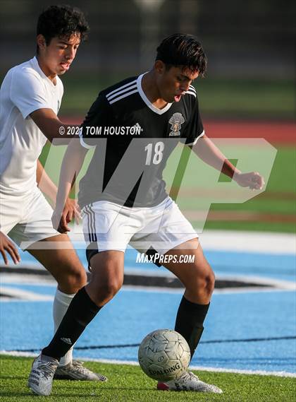 Thumbnail 1 in Bonita @ Azusa photogallery.