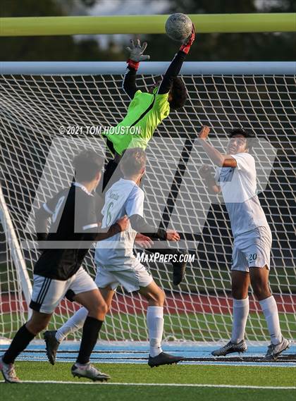Thumbnail 2 in Bonita @ Azusa photogallery.