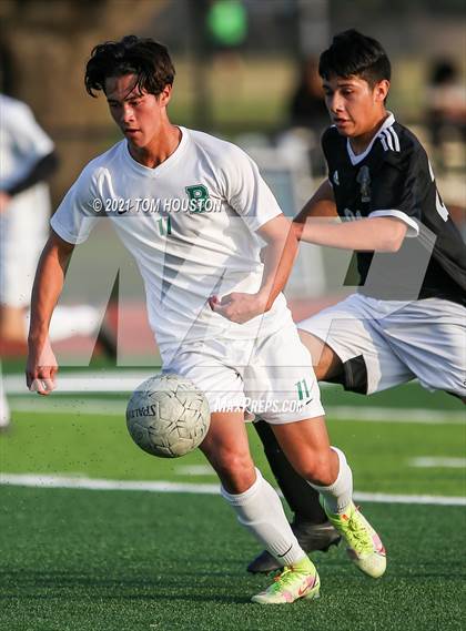 Thumbnail 2 in Bonita @ Azusa photogallery.