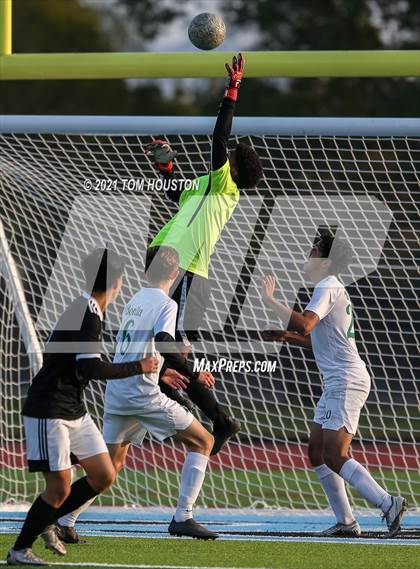 Thumbnail 1 in Bonita @ Azusa photogallery.