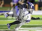Photo from the gallery "Pinnacle @ O'Connor"