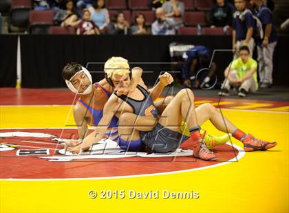 Thumbnail 2 in CIF State Boys Wrestling Championships (Round 1) photogallery.