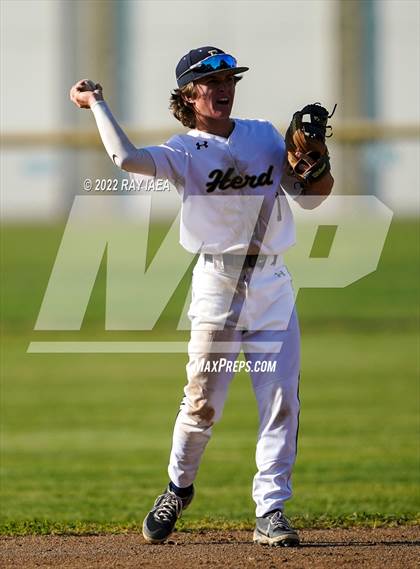 Thumbnail 1 in Franklin @ Elk Grove photogallery.
