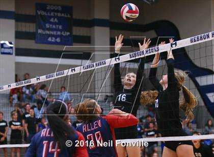 Thumbnail 1 in Allen @ Hebron photogallery.