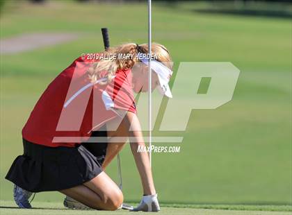 Thumbnail 3 in FHSAA 2A District Playoffs (EDITORIAL ONLY) photogallery.