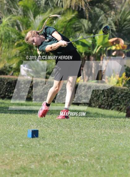 Thumbnail 1 in FHSAA 2A District Playoffs (EDITORIAL ONLY) photogallery.
