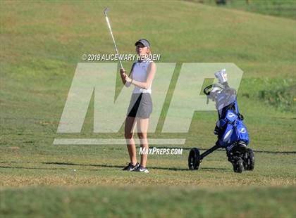 Thumbnail 1 in FHSAA 2A District Playoffs (EDITORIAL ONLY) photogallery.